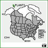 Distribution of Setaria viridis (L.) P. Beauv. var. viridis. . Image Available. 