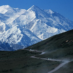 Image of buses lined up waiting to transport visitors of Denali National Park and Preserve