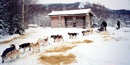 Musher leaving Slavens Cabin