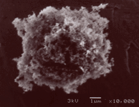 particle of black soot under the microscope