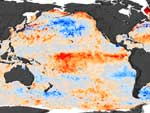 show that the warmest sea surface temperature (SST) anomalies are concentrated in the central equatorial Pacific.