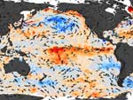 wind anomalies converge near the middle of the equatorial Pacific Ocean