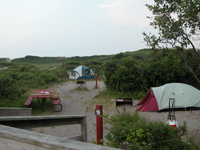 Two small tents are nestled among short island trees and shrubs.