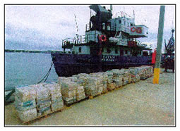 photo - the Castor, a commercial cargo vessel