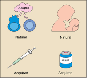 Antigen, Natural, and Acquired Immunity