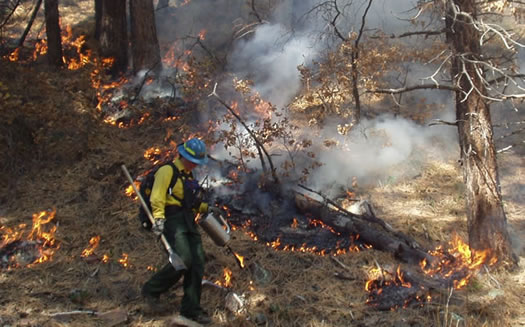 The Trail Canyon prescribed fire, Dolores Ranger District,  October 25, 2005. Photo by Laurie Robison, San Juan National Forest.