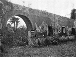 An arched wall with a view of palm trees framed in one archway.