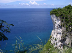 [photo of limestone cliff in Guam]