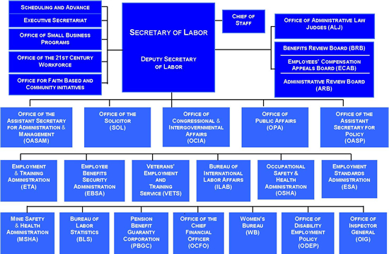 DOL organization chart