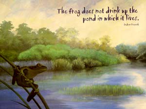 [Image] A frog looks across a pond. “The frog does not drink up the pond in which it lives.” Indian proverb