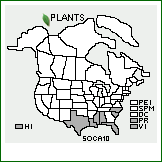 Distribution of Solanum capsicoides All.. . 