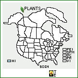 Distribution of Solanum incompletum Dunal. . 