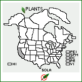 Distribution of Solanum lanceolatum Cav.. . 