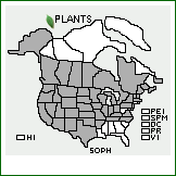 Distribution of Solanum physalifolium Rusby. . 