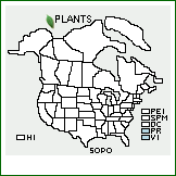 Distribution of Solanum polygamum Vahl. . 