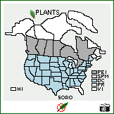 Distribution of Solanum rostratum Dunal. . Image Available. 