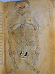 Folio 12b