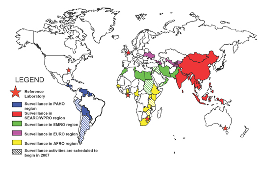 Map showing reigons and countries currently performing rotavirus surveillance. In the SEARO region, marked in red the reference laboratory is in Sydney, Austrailia. In the EURO region marked in purple, the reference laboratory is in London, England. The AFRO region is marked in yellow. The EMRO region is marked in green. In the PAHO region, marked in blue the reference laboratory is in Atlanta, GA. More details via links above.