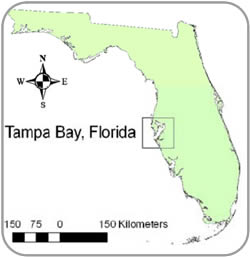 Tampa Bay Research
