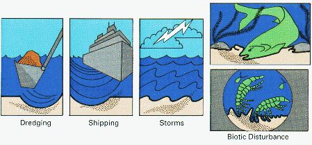 Several photos showing how polluted sediments can be stirred up and resuspended in the water by dredging, shipping, and storms.  Sediments can also be disturbed by fish and other organisms that feed on the bottom.