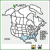 Distribution of Diodia virginiana L. var. latifolia Torr. & A. Gray. . 