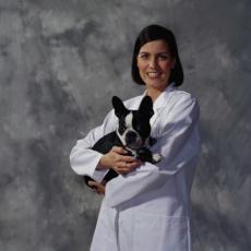 Fotografía de una veterinaria con un Boston terrier