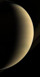 Cassini coasts beneath giant Saturn, staring upward at its gleaming crescent and icy rings
