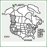 Distribution of Hordeum murinum L. ssp. murinum. . 