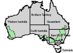 aus_whtregion