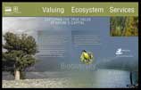 Valuing Ecosystem Services display