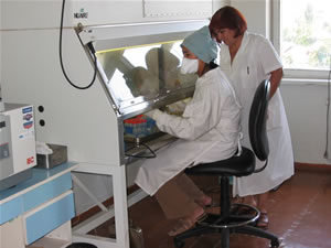 USAID supports the region's governments to improve the quality of HIV/AIDS data