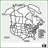 Distribution of Rubus illecebrosus Focke. . Image Available. 