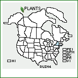 Distribution of Rubus insulanus L.H. Bailey. . 