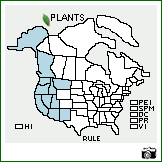 Distribution of Rubus leucodermis Douglas ex Torr. & A. Gray. . Image Available. 