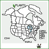 Distribution of Rubus plus L.H. Bailey. . 