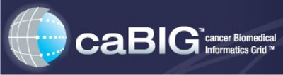 caBIG logo