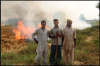 In this photo three farm workers in the province of Punjab tend to the burning of rice stubble after threshing. 