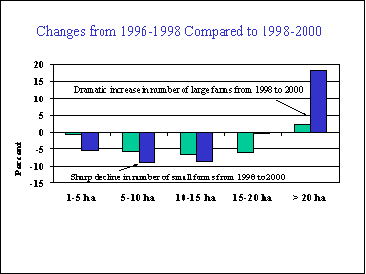 Chart showing the dramatic increase in the number  of large farms from 1996-98, compared with 1998-2000.