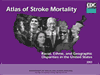 Cover of the stroke atlas