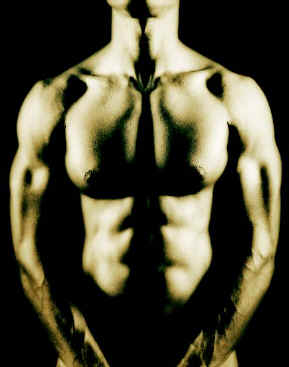 Photo of the torso of a male bodybuilder.