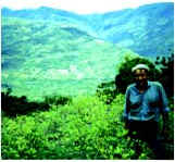 Photo of a coca farmer in a field of coca plants.