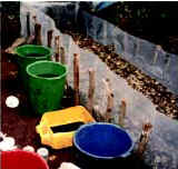 Photo of plastic buckets alongside coca leaves in a plastic-lined pit.