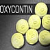 photo - oxycontin pills