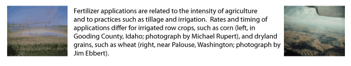 photo page 11 upper - Fertilizer applications are related to the intensity of
agriculture and to practices such as tillage and irrigation. Rates and timing of applications differ for irrigated row crops, such
as corn (left, in Gooding County, Idaho; photograph by Michael Rupert), and dryland grains, such as wheat (right, near Palouse, Washington; photograph by
Jim Ebbert).