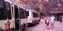 Zion Shuttle