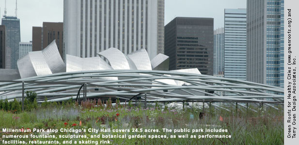 Growing Green Roofs, City by City