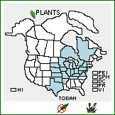 Distribution of Toxicodendron radicans (L.) Kuntze ssp. negundo (Greene) Gillis. . 