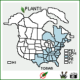 Distribution of Toxicodendron radicans (L.) Kuntze ssp. radicans. . Image Available. 