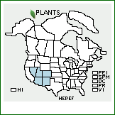 Distribution of Helianthus petiolaris Nutt. ssp. fallax Heiser. . 