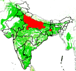 Gangetic Plain India Map of wheat growing areas shaded red used in analysis